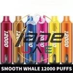 Buy-SMOOTH-Whale-12000-Puffs-5-Disposable-Vape-in-UAE-SMOOTH-Whale-Disposable-12000-Puffs-in-Dubai-SMOOTH-12000-Puffs-near-me-430x430