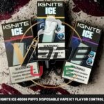 Ignite-Ice-40000-Puffs-Disposable-Vape-Icy-Flavor-Control-In-The-UAE