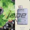 BLACK-MINT-FUMMO-Magnum-8000-Puffs-2-Disposable-Vape-in-Dubai.jpg FUMMO Magnum 8000 Puffs 20MG Nicotine