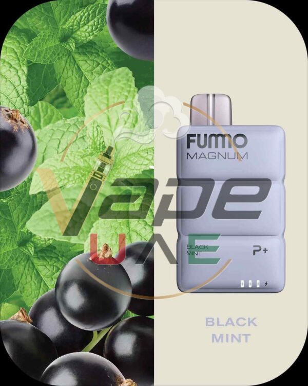 BLACK-MINT-FUMMO-Magnum-8000-Puffs-2-Disposable-Vape-in-Dubai.jpg FUMMO Magnum 8000 Puffs 20MG Nicotine