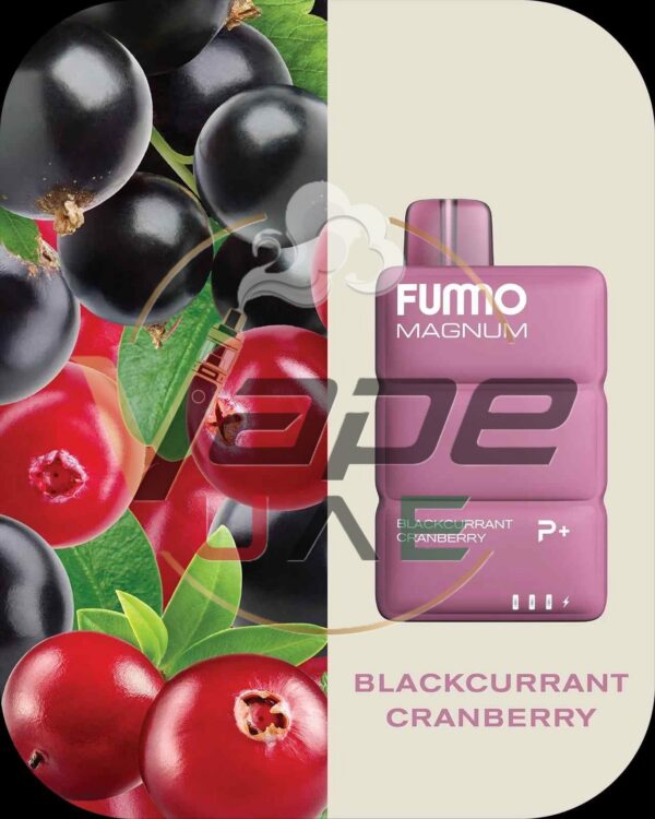 BLACKCURRANT-CRANBERRY-FUMMO-Magnum-8000-Puffs-2-Disposable-Vape-in-Dubai.jpg FUMMO Magnum 8000 Puffs 20MG Nicotine