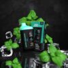 BLVK-BAR-20000-Puffs-Price-in-Dubai-DOUBLE-SPEARMINT-1229x1536 BLVK Bar 20000 Puffs 50mg Nicotine Disposable Vape