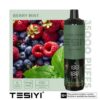 Berry-Mint-430x430 TESIYI ULTRA SHISHA 35000 PUFFS 6MG NICOTINE