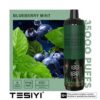 Blueberry-Mint-430x430 TESIYI ULTRA SHISHA 35000 PUFFS 6MG NICOTINE