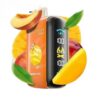ELF-BAR-Raya-D3-25000-Puffs-50MG-Disposable-Vape-Mango-Peach-1.jpg ELF BAR Raya D3 25000 Puffs 50MG NICOTINE