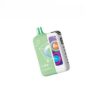 Elf-Bar-ew-premium-25000-Puffs-50mg-Nicotine-Double-Mint.jpg Elf Bar ew premium 25000 Puffs 50mg Nicotine