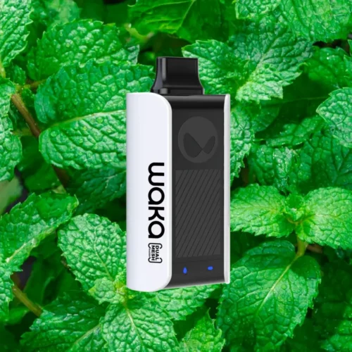 FreshMint-WakasoProPA10000DisposableVapeinDubai_UAE-1.webp WAKA Sopro 10000 Puffs 50mg Disposable Vape