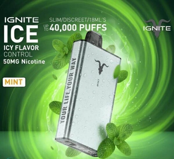 Ignite-Ice-40000-Puffs-Disposable-Mint-1.jpg Ignite Ice 40000 Puffs 50MG Nicotine Disposable Vape