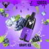 Kalyan-Pro-Grape-Ice-flavor KALYAN Pro 12000 Puffs 50MG Disposable Vape