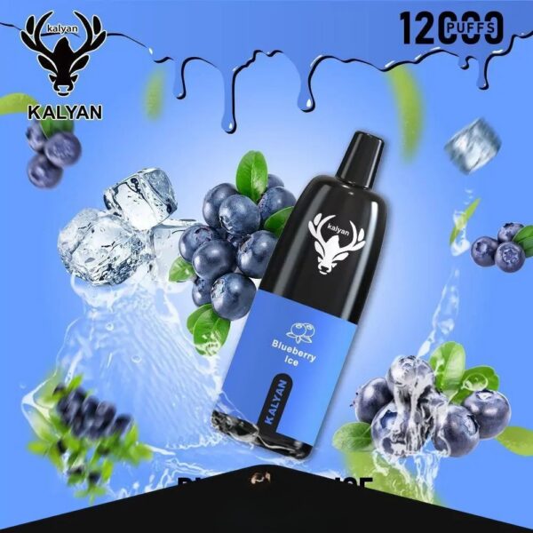 KalyanPro12000Puffs-BlueberryIce KALYAN Pro 12000 Puffs 50MG Disposable Vape