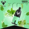 KalyanPro12000Puffs-GumMints KALYAN Pro 12000 Puffs 50MG Disposable Vape