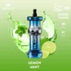 Mosmo Sultan 50000 Puffs DTL 50mg Nicotine