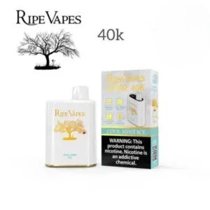Ripe-Vapes-IVORY-40000-Puffs-Disposable-Vape-cool-mint-ice.jpg Ripe Vapes IVORY 40000 Puffs 20MG Disposable vape