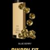 SIKARY-FIT-12000-Puffs-blue-berry-1.jpg SIKARY FIT 12000 Puffs Disposable Vape 20mg nicotine
