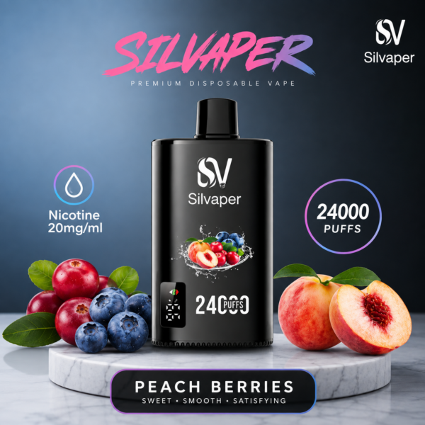 SILVAPER 24000 Puffs SILVAPER 24000 Puffs