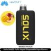 Solix-30000-Puffs-Hayati-Disposable-Vape-Mango-Peach-300x300-2.jpg Hayati Solix 30000 Puffs 50MG Nicotine Disposable Vape