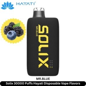 Solix-30000-Puffs-Hayati-Disposable-Vape-Mr.Blue_-300x300-2.jpg Hayati Solix 30000 Puffs 50MG Nicotine Disposable Vape