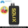 Solix-30000-Puffs-Hayati-Watermelon-Ice-Disposable-Vape-Flavors-300x300-2.jpg Hayati Solix 30000 Puffs 50MG Nicotine Disposable Vape