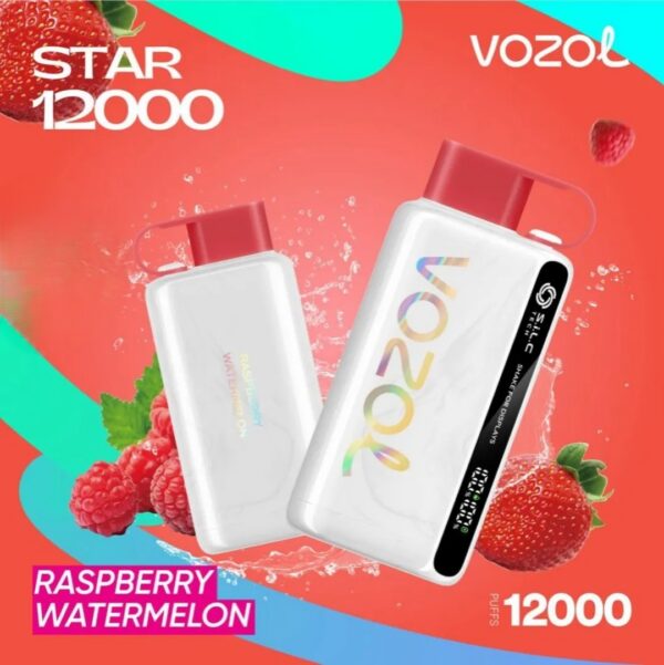 VOZOL-STAR-12000-Puffs-Raspberry-Watermelon VOZOL STAR 12000 Puffs 20mg & 50mg Disposable Vape