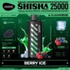 Vozol-Shisha-Berry-Ice VOZOL Gear Shisha 25000 puffs