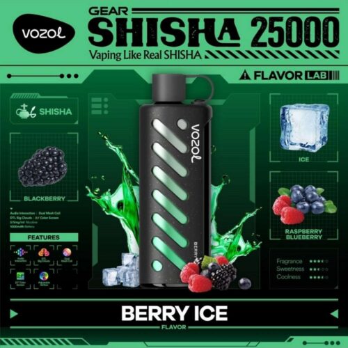 Vozol-Shisha-Berry-Ice VOZOL Gear Shisha 25000 puffs