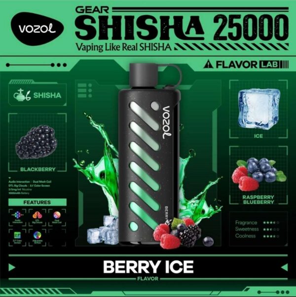 Vozol-Shisha-Berry-Ice VOZOL Gear Shisha 25000 puffs