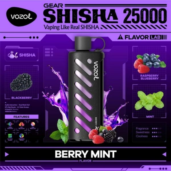 Vozol-Shisha-Berry-Mint VOZOL Gear Shisha 25000 puffs 5MG Nicotine