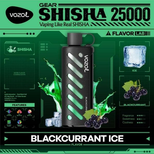 Vozol-Shisha-Blackcurrant-ice VOZOL Gear Shisha 25000 puffs 5MG Nicotine