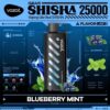 Vozol-Shisha-Blueberry-Mint VOZOL Gear Shisha 25000 puffs 5MG Nicotine
