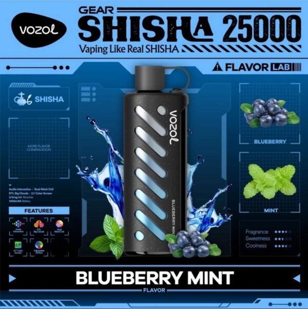 Vozol-Shisha-Blueberry-Mint VOZOL Gear Shisha 25000 puffs 5MG Nicotine