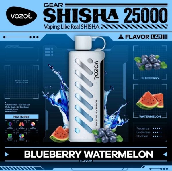Vozol-Shisha-Blueberry-Watermelon VOZOL Gear Shisha 25000 puffs 5MG Nicotine