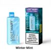 imgi_17_lost-mary-mt15000-turbo-winter-mint LOST MARY MT15000 TURBO 5Omg Disposable Vape