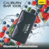 blueberry watermelon blueberry watermelon