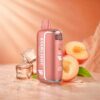 Vape Soul 80000 puffs 20mg Nicotine Disposable Vape