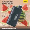 watemelon ice watemelon ice